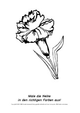 Frühlingsblüher-Ausmalbilder 18.pdf